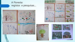 A Floresta:
registos e pesquisas…
 