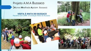 Projeto A.M.A Bussaco
(Alunos Mealhada Apoiam Bussaco)
VISITA À MATA DO BUSSACO
Parceria com CMM e Fundação Mata do Bussaco
 
