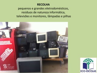 RECOLHA
pequenos e grandes eletrodomésticos,
resíduos de natureza informática,
televisões e monitores, lâmpadas e pilhas
 