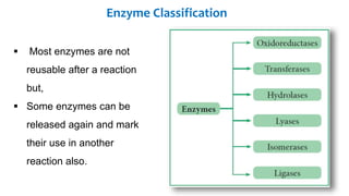 Enzyme Technology | PPTX