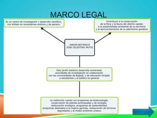 MARCO LEGAL
 