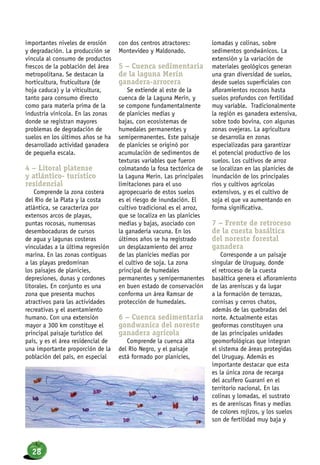 importantes niveles de erosión
y degradación. La producción se
vincula al consumo de productos
frescos de la población del área
metropolitana. Se destacan la
horticultura, fruticultura (de
hoja caduca) y la viticultura,
tanto para consumo directo
como para materia prima de la
industria vinícola. En las zonas
donde se registran mayores
problemas de degradación de
suelos en los últimos años se ha
desarrollado actividad ganadera
de pequeña escala.
4 – Litoral platense
y atlántico- turístico
residencial
Comprende la zona costera
del Río de la Plata y la costa
atlántica, se caracteriza por
extensos arcos de playas,
puntas rocosas, numerosas
desembocaduras de cursos
de agua y lagunas costeras
vinculadas a la última regresión
marina. En las zonas contiguas
a las playas predominan
los paisajes de planicies,
depresiones, dunas y cordones
litorales. En conjunto es una
zona que presenta muchos
atractivos para las actividades
recreativas y el asentamiento
humano. Con una extensión
mayor a 300 km constituye el
principal paisaje turístico del
país, y es el área residencial de
una importante proporción de la
población del país, en especial
con dos centros atractores:
Montevideo y Maldonado.
5 – Cuenca sedimentaria
de la laguna Merín
ganadera-arrocera
Se extiende al este de la
cuenca de la Laguna Merín, y
se compone fundamentalmente
de planicies medias y
bajas, con ecosistemas de
humedales permanentes y
semipermanentes. Este paisaje
de planicies se originó por
acumulación de sedimentos de
texturas variables que fueron
colmatando la fosa tectónica de
la Laguna Merin. Las principales
limitaciones para el uso
agropecuario de estos suelos
es el riesgo de inundación. El
cultivo tradicional es el arroz,
que se localiza en las planicies
medias y bajas, asociado con
la ganadería vacuna. En los
últimos años se ha registrado
un desplazamiento del arroz
de las planicies medias por
el cultivo de soja. La zona
principal de humedales
permanentes y semipermanentes
en buen estado de conservación
conforma un área Ramsar de
protección de humedales.
6 – Cuenca sedimentaria
gondwanica del noreste
ganadera agrícola
Comprende la cuenca alta
del Río Negro, y el paisaje
está formado por planicies,
lomadas y colinas, sobre
sedimentos gondwánicos. La
extensión y la variación de
materiales geológicos generan
una gran diversidad de suelos,
desde suelos superficiales con
afloramientos rocosos hasta
suelos profundos con fertilidad
muy variable. Tradicionalmente
la región es ganadera extensiva,
sobre todo bovina, con algunas
zonas ovejeras. La agricultura
se desarrolla en zonas
especializadas para garantizar
el potencial productivo de los
suelos. Los cultivos de arroz
se localizan en las planicies de
inundación de los principales
ríos y cultivos agrícolas
extensivos, y es el cultivo de
soja el que va aumentando en
forma significativa.
7 – Frente de retroceso
de la cuesta basáltica
del noreste forestal
ganadera
Corresponde a un paisaje
singular de Uruguay, donde
el retroceso de la cuesta
basáltica genera el afloramiento
de las areniscas y da lugar
a la formación de terrazas,
cornisas y cerros chatos,
además de las quebradas del
norte. Actualmente estas
geoformas constituyen una
de las principales unidades
geomorfológicas que integran
el sistema de áreas protegidas
del Uruguay. Además es
importante destacar que esta
es la única zona de recarga
del acuífero Guaraní en el
territorio nacional. En las
colinas y lomadas, el sustrato
es de areniscas finas y medias
de colores rojizos, y los suelos
son de fertilidad muy baja y
28
 