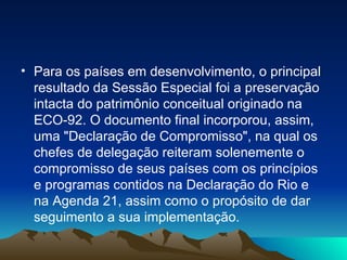 Para os países em desenvolvimento, o principal resultado da Sessão Especial foi a preservação intacta do patrimônio conceitual originado na ECO-92. O documento final incorporou, assim, uma "Declaração de Compromisso", na qual os chefes de delegação reiteram solenemente o compromisso de seus países com os princípios e programas contidos na Declaração do Rio e na Agenda 21, assim como o propósito de dar seguimento a sua implementação. 