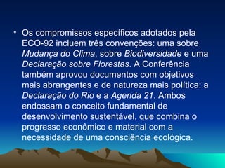 Os compromissos específicos adotados pela ECO-92 incluem três convenções: uma sobre  Mudança do Clima , sobre  Biodiversidade  e uma  Declaração sobre Florestas . A Conferência também aprovou documentos com objetivos mais abrangentes e de natureza mais política: a  Declaração do Rio  e a  Agenda 21 . Ambos endossam o conceito fundamental de desenvolvimento sustentável, que combina o progresso econômico e material com a necessidade de uma consciência ecológica. 