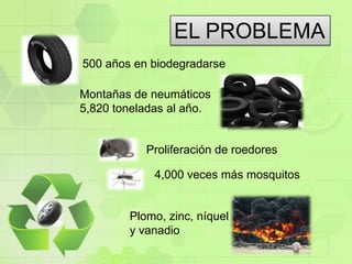 EL PROBLEMA500 años en biodegradarseMontañas de neumáticos 5,820 toneladas al año.Proliferación de roedores4,000 veces más mosquitosPlomo, zinc, níquel y vanadio