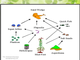 Prof. Shashank Chaurasiya
bansalpharmacy.com
 