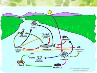 Prof. Shashank Chaurasiya
bansalpharmacy.com
 