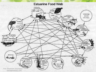 Prof. Shashank Chaurasiya
bansalpharmacy.com
 