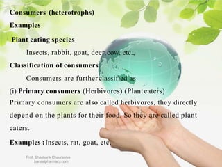 Consumers (heterotrophs)
Examples
Plant eating species
Insects, rabbit, goat, deer,cow, etc.,
Classification of consumers
Consumers are furtherclassified as
(i) Primary consumers (Herbivores) (Planteaters)
Primary consumers are also called herbivores, they directly
depend on the plants for their food. So they are called plant
eaters.
Examples :Insects, rat, goat, etc.
Prof. Shashank Chaurasiya
bansalpharmacy.com
 