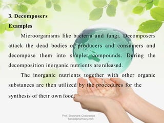 3. Decomposers
Examples
Microorganisms like bacteria and fungi. Decomposers
attack the dead bodies of producers and consumers and
decompose them into simpler compounds. During the
decomposition inorganic nutrients are released.
The inorganic nutrients together with other organic
substances are then utilized by the procedures for the
synthesis of their own food.
Prof. Shashank Chaurasiya
bansalpharmacy.com
 