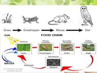 Prof. Shashank Chaurasiya
bansalpharmacy.com
 