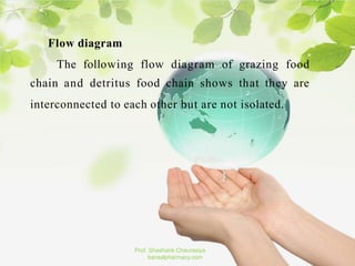 Flow diagram
The following flow diagram of grazing food
chain and detritus food chain shows that they are
interconnected to each other but are not isolated.
Prof. Shashank Chaurasiya
bansalpharmacy.com
 