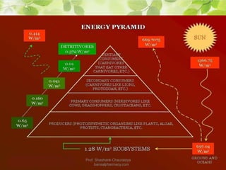 Prof. Shashank Chaurasiya
bansalpharmacy.com
 