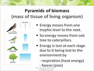Prof. Shashank Chaurasiya
bansalpharmacy.com
 