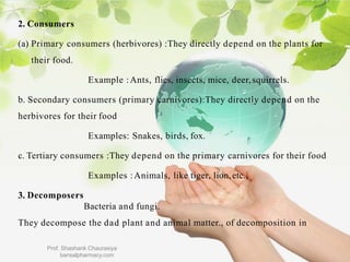2. Consumers
(a) Primary consumers (herbivores) :They directly depend on the plants for
their food.
Example :Ants, flies, insects, mice, deer,squirrels.
b. Secondary consumers (primary carnivores):They directly depend on the
herbivores for their food
Examples: Snakes, birds, fox.
c. Tertiary consumers :They depend on the primary carnivores for their food
Examples :Animals, like tiger, lion,etc.,
3. Decomposers
Bacteria and fungi.
They decompose the dad plant and animal matter., of decomposition in
Prof. Shashank Chaurasiya
bansalpharmacy.com
 