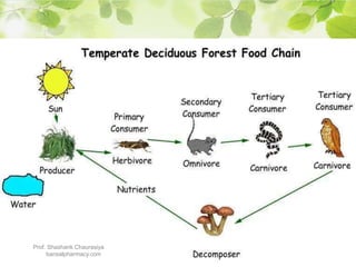 Prof. Shashank Chaurasiya
bansalpharmacy.com
 