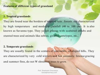 Features of different types of grassland
1. Tropical grasslands
They are found near the borders of tropical rain . forests. are characterized
by high temperature and moderate rainfall (40 to 100 cm). It is also
known as Savanna type. They ye tall grasses with scattered shrubs and
stunted trees and animals like zebras, giraffes, antelopes, etc.,
2. Temperate grasslands
They are usually found in the centers of continents, oil sloped hills.. They
are characterized by very cold winters and hot summers: Intense grazing
and summer fires, do not W shrubs or trees to grow.
Prof. Shashank Chaurasiya
bansalpharmacy.com
 
