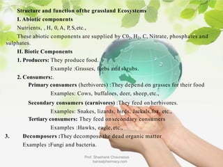 Structure and function ofthe grassland Ecosystems
I. Abiotic components
Nutrients, , H, 0, A, P, S,etc.,
These abiotic components are supplied by C02, H2, C, Nitrate, phosphates and
sulphates.
II. Biotic Components
1. Producers: They produce food.
Example :Grasses, forbs and shrubs.
2. Consumers:.
Primary consumers (herbivores) :They depend on grasses for their food
Examples: Cows, buffaloes, deer, sheep,etc.,
Secondary consumers (carnivores) :They feed on herbivores.
Examples: Snakes, lizards, birds, Jackals,fox, etc.,
Tertiary consumers: They feed onsecondary consumers
Examples :Hawks, eagle, etc.,
3. Decomposers :They decompose the dead organic matter
Examples :Fungi and bacteria.
Prof. Shashank Chaurasiya
bansalpharmacy.com
 