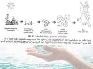 Prof. Shashank Chaurasiya
bansalpharmacy.com
 