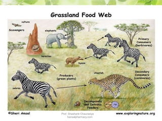 Prof. Shashank Chaurasiya
bansalpharmacy.com
 