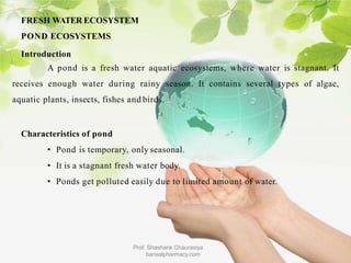 FRESH WATER ECOSYSTEM
POND ECOSYSTEMS
Introduction
A pond is a fresh water aquatic ecosystems, where water is stagnant. It
receives enough water during rainy season. It contains several types of algae,
aquatic plants, insects, fishes and birds.
Characteristics of pond
• Pond is temporary, only seasonal.
• It is a stagnant fresh water body.
• Ponds get polluted easily due to limited amount of water.
Prof. Shashank Chaurasiya
bansalpharmacy.com
 