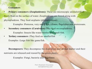 Consumers
• Primary consumers (Zooplanktons): These are microscopic animalswhich
freely float on the surface of water. Zooplanktons are found along with
phytoplankton. They feed onplants (phytoplankton).
Examples :Protozoa, very small fish, ciliates, flagelaltes and protozoans.
• Secondary consumers (Carnivores):They feed on zooplankton
Examples :Insects like water beetles and small fish.
• Tertiary consumers :They feed on smallerfish
Examples :Large fish like game fish.
Decomposers: They decompose the dead plant and animal matter and their
nutrients are released and reused by the green plants.
Examples :Fungi, bacteria and flagellates
Prof. Shashank Chaurasiya
bansalpharmacy.com
 
