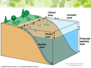 Prof. Shashank Chaurasiya
bansalpharmacy.com
 