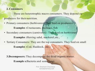 2. Consumers
These are heterotrophic macro consumers. They depend on
producers for their nutrition.
• Primary consumers (herbivores) :They feed on producers
Examples :Crustaceans, moiluscs, fish
• Secondary consumers (carnivores) : They feed on herbivores
Examples :Herring sahd, mackerel,etc.,
• Tertiary Consumers: They are the top consumers. They feed on small
Examples :Cod, Haddock, -etc.,
3.Decomposers: They decompose the dead organic matter.
Example s:Bacteria and some fungi.
Prof. Shashank Chaurasiya
bansalpharmacy.com
 