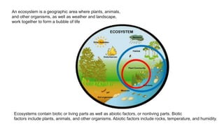An ecosystem is a geographic area where plants, animals,
and other organisms, as well as weather and landscape,
work together to form a bubble of life
Ecosystems contain biotic or living parts as well as abiotic factors, or nonliving parts. Biotic
factors include plants, animals, and other organisms. Abiotic factors include rocks, temperature, and humidity.
 