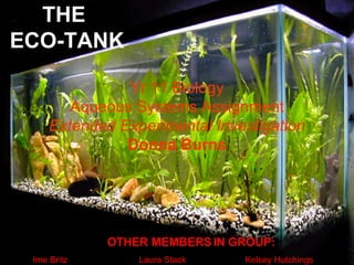 THE  ECO-TANK Yr 11 Biology Aqueous Systems Assignment Extended Experimental Investigation Donna Burns OTHER MEMBERS IN GROUP: Ime Britz  Laura Stack  Kelsey Hutchings  