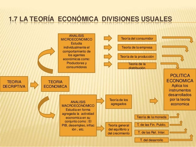 Eco unidad-i y ii