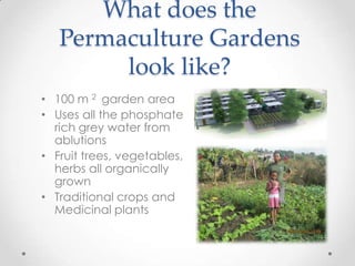 What does the
Permaculture Gardens
look like?
• 100 m 2 garden area
• Uses all the phosphate
rich grey water from
ablutions
• Fruit trees, vegetables,
herbs all organically
grown
• Traditional crops and
Medicinal plants
 
