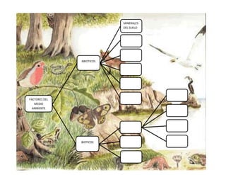 MINERALES
                           DEL SUELO


                             AGUA



                             AIRE

               ABIOTICOS

                            VIENTO



                            CALOR


                                       HONGOS
                              LUZ
FACTORES DEL
   MEDIO
  AMBIENTE                             BACTERIAS




                           MICROORG     ALGAS
                           ANISMOS


                           PLANTAS      VIRUS
               BIOTICOS



                           ANIMALES
 