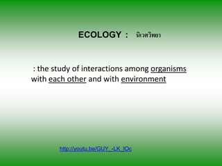 ECOLOGY : นเิ วศวทยา
                              ิ


: the study of interactions among organisms
with each other and with environment




       http://youtu.be/GUY_-LK_lOc
 