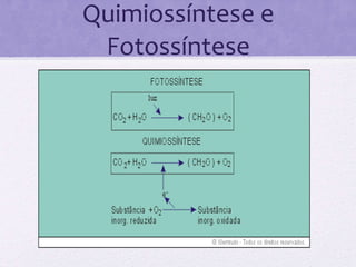 Quimiossíntese e Fotossíntese 