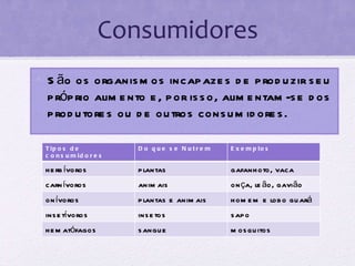 Consumidores São os organismos incapazes de produzir seu próprio alimento e, por isso, alimentam-se dos produtores ou de outros consumidores. Tipos de consumidores Do que se Nutrem Exemplos herbívoros plantas gafanhoto, vaca carnívoros animais onça, leão, gavião onívoros plantas e animais homem e lobo guará insetívoros insetos sapo hematófagos sangue mosquitos 