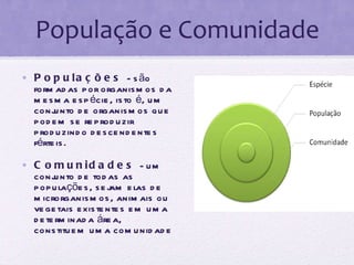 População e Comunidade Populações  - são formadas por organismos da mesma espécie, isto é, um conjunto de organismos que podem se reproduzir produzindo descendentes férteis. Comunidades  - um conjunto de todas as populações, sejam elas de microrganismos, animais ou vegetais existentes em uma determinada área, constituem uma comunidade 