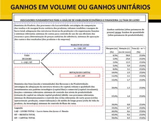 GANHOS EM VOLUME OU GANHOS UNITÁRIOS
 