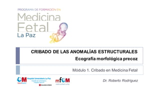 Módulo 1. Cribado en Medicina Fetal
Dr. Roberto Rodríguez
CRIBADO DE LAS ANOMALÍAS ESTRUCTURALES
Ecografía morfológica precoz
 