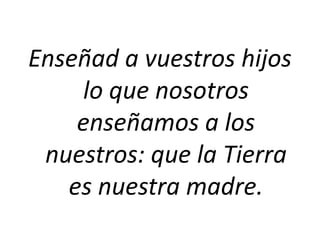 Las personas no comprendemos el ruido de la naturaleza, el ruido del aire en los árboles, la sensación de libertad en los bosques…