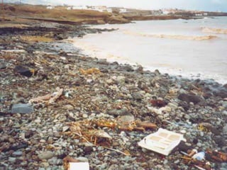 Cuando los hombres escupen a la Tierra, están escupiendo a si mismos.