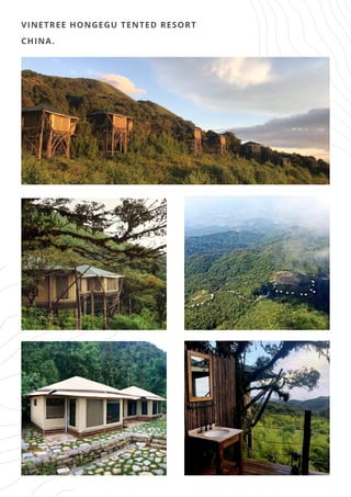 VINETREE HONGEGU TENTED RESORT
CHINA.
 