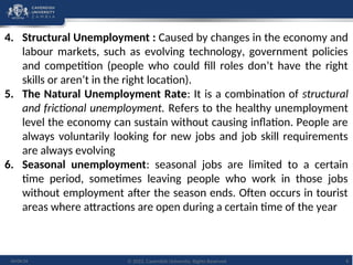 Comprehensive Overview of Labour Market Dynamics and Unemployment in ...