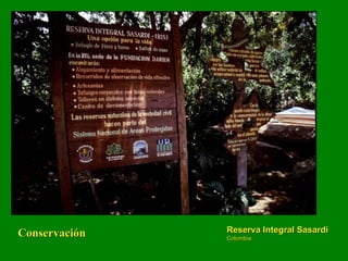 Conservación Reserva Integral Sasardi Colombia 