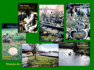 Manejo de Aguas Gudhorst Germany Folkecentre Thy Denmark The Farm Tennessee USA Larchmont Yorkshire UK Larchmont Yorkshire UK Krönburg Germany Methane Digestor 