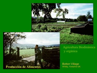 Botton Village Whitby, Yorkshire UK Producción de Alimentos Agricultura Biodinámica y orgánica 