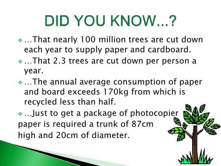 How many trees are cut down each year?
