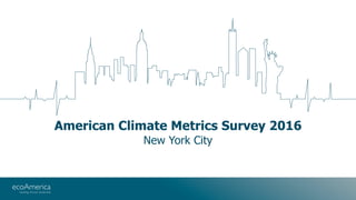 American Climate Metrics Survey 2016
New York City
 