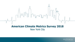 American Climate Metrics Survey 2018
New York City
 