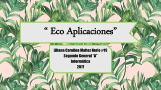 “ Eco Aplicaciones”
Liliana Carolina Maltez Nerio #19
Segundo General “A”
Informática
2017
 